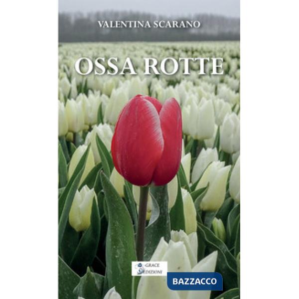 Ossa rotte