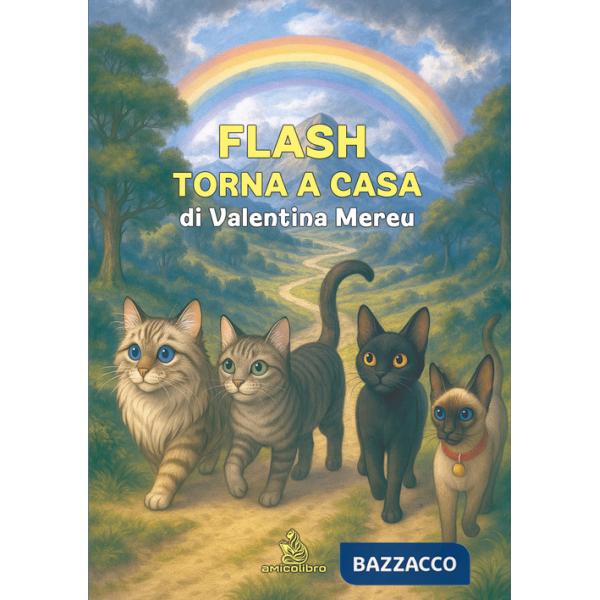 Flash torna a casa. Ediz. illustrata