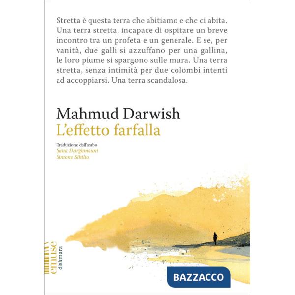 Effetto farfalla (L')