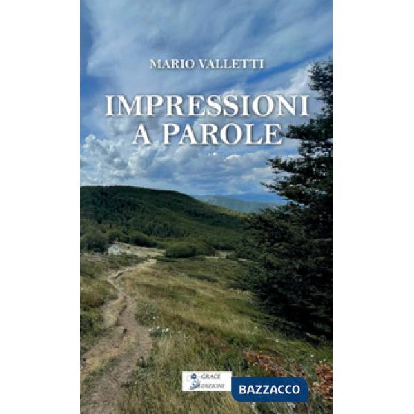 Impressioni a parole