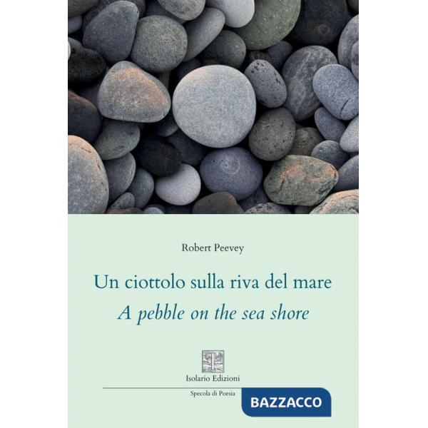 Ciottolo sulla riva del mare. A pebble on the sea shore. Ediz. multilingue (Un)
