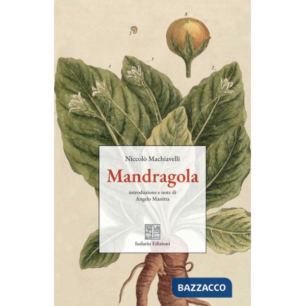 Mandragola